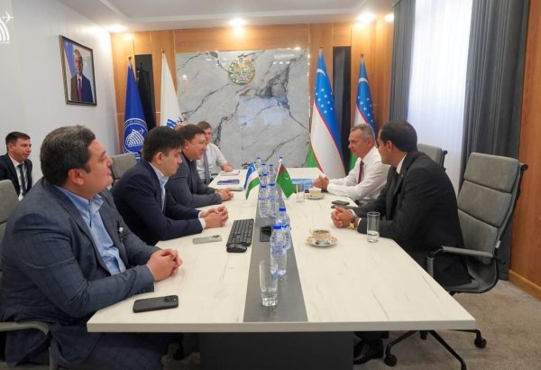 Туркменистан и Узбекистан обсудили оптимизацию воздушного сообщения