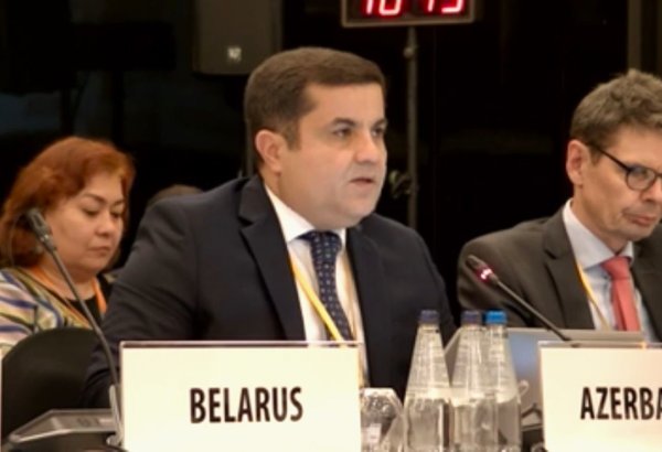 Права женщин грубо нарушены в результате армянской политики оккупации и этнической чистки - Айдын Сафиханлы