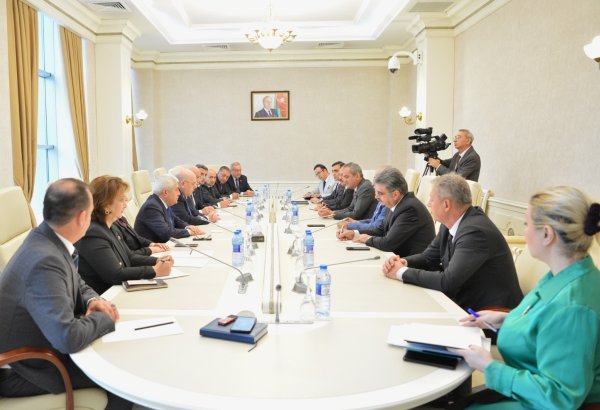 Обсуждено сотрудничество между парламентами Азербайджана и Турции (ФОТО)