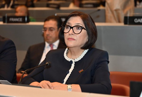 Принятие важных решений в рамках COP29 стало вершиной непоколебимой приверженности Азербайджана принципу многосторонности - Спикер