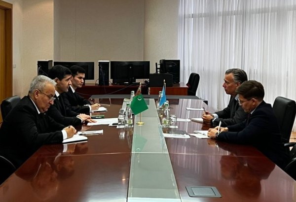 Туркменистан рассчитывает на поддержку ЕЭК ООН в развитии "зеленой" энергетики