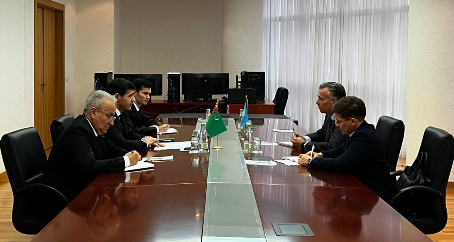 Туркменистан рассчитывает на поддержку ЕЭК ООН в развитии "зеленой" энергетики