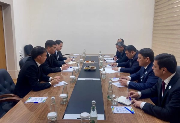 Туркменистан и Узбекистан усилят энергетическое сотрудничество