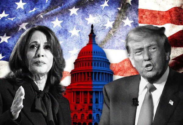 Президентские выборы в США: выбор между непредсказуемостью и неопытностью