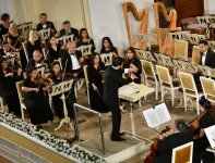 В нем и разноцветье опавших листьев, и долгая морось… Классика осенним бакинским вечером (ФОТО)