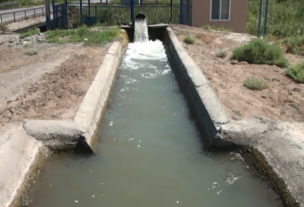 Названа площадь посевных площадей в Азербайджане с современными оросительными системами