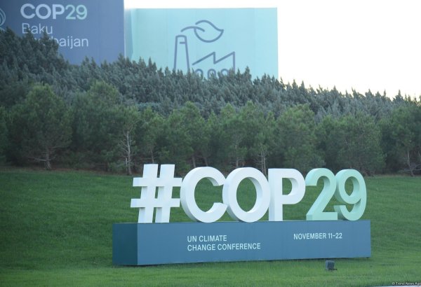 В "Зеленой зоне" COP29 состоялась панельная сессия по корпоративной устойчивости