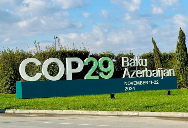 Волонтеры COP29 получат денежную награду