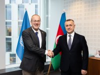 Министр здравоохранения Азербайджана провел ряд встреч в рамках 74-й сессии Европейского комитета ВОЗ  (ФОТО)