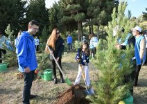 В Баку прошла очередная акция по посадке деревьев с участием вице-президента Фонда Гейдара Алиева Лейлы Алиевой и руководителя Баку Медиа Центра Арзу Алиевой (ФОТО)