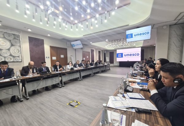 Азербайджан принял участие в семинаре, посвященном борьбе с незаконном оборотом культурных ценностей (ФОТО)