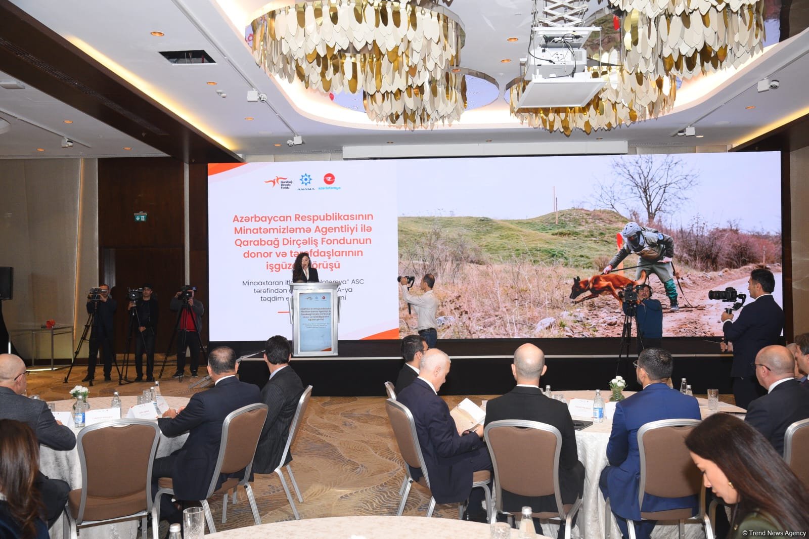 ANAMA переданы еще три собаки-сапера (ФОТО)