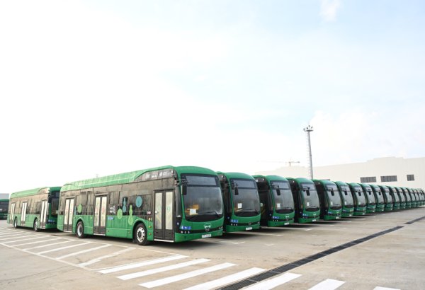 Названы маршруты общественного транспорта, на которых изменились тарифы