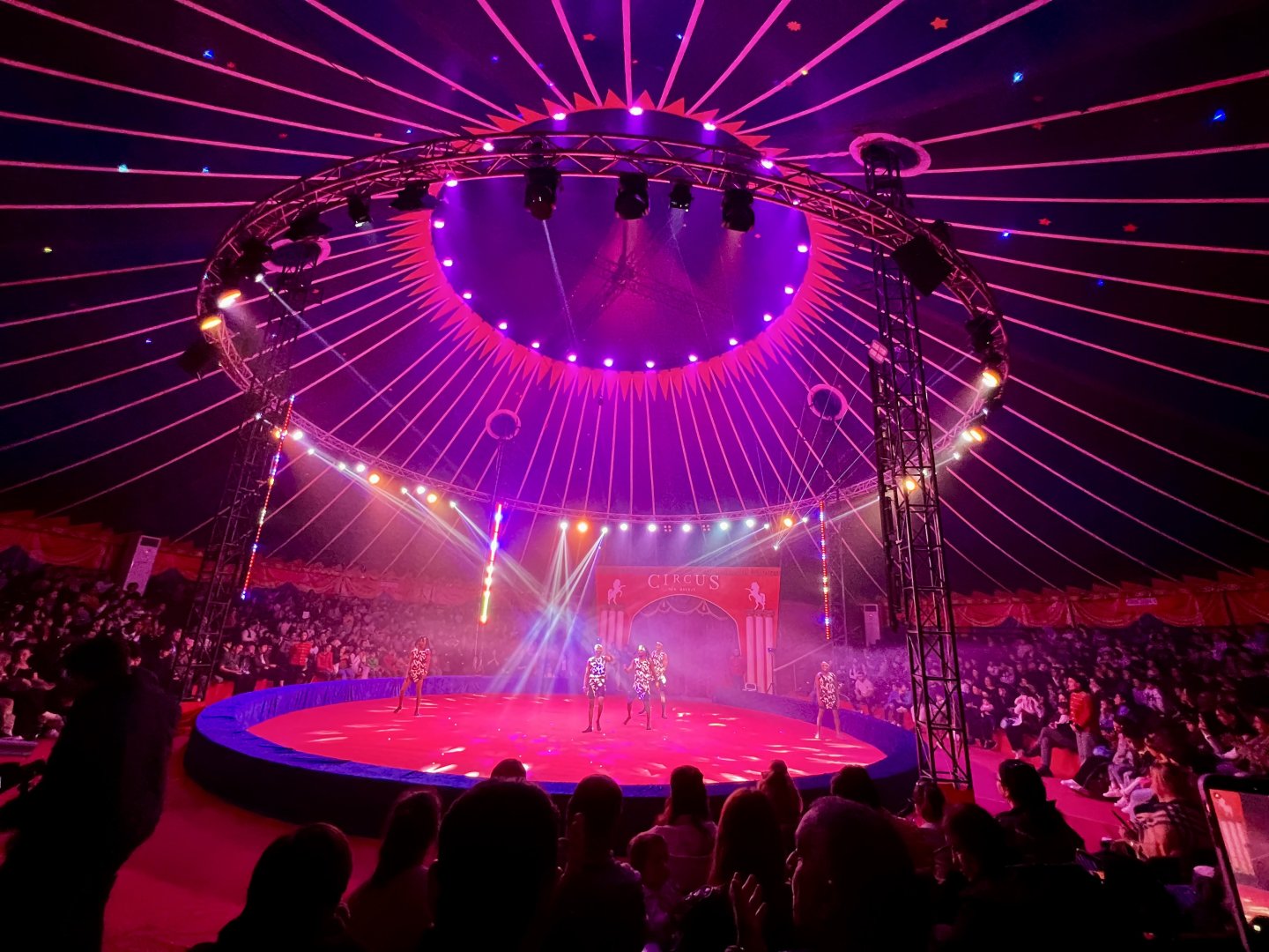 Невероятное шоу в Баку с участием мировых звёзд цирка (ВИДЕО, ФОТО)