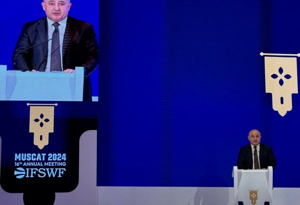 Исполнительный директор ГНФАР избран зампредом Международного форума суверенных фондов (ФОТО)