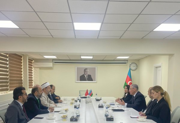 Мухтар Бабаев обсудил подготовку к COP29 с Али Эрбашем