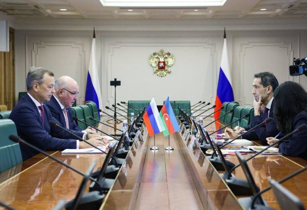 В Совете Федерации отметили высокий уровень взаимодействия российских и азербайджанских парламентариев (ФОТО)