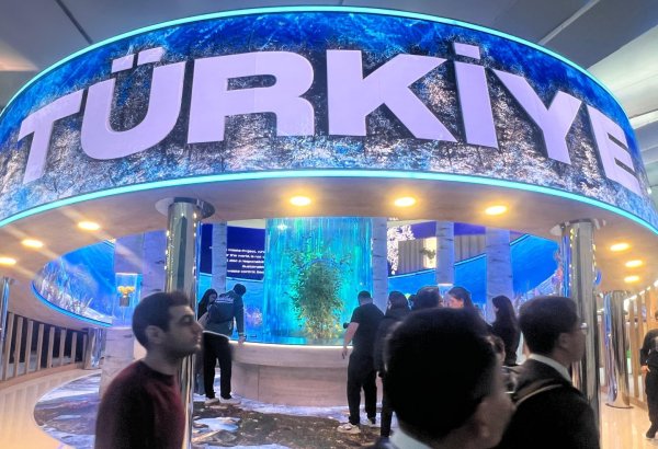 На COP29 состоялась церемония открытия павильона Турции (ФОТО)