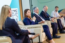 В день открытия Зеленой зоны COP29 состоялось мероприятие на тему устойчивого развития (ФОТО)