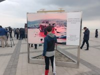 На Бакинском бульваре в рамках COP29 открылась экспозиция по защите морских видов (ФОТО)