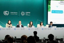 В рамках COP29 состоялась панельная дискуссия на тему субнациональной деятельности по изменению климата (ФОТО)