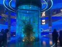 На COP29 состоялась церемония открытия павильона Турции (ФОТО)