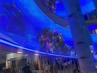 На COP29 состоялась церемония открытия павильона Турции (ФОТО)