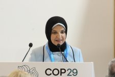 Азербайджан подписал Декларацию о детях, молодежи и климатической деятельности (ФОТО)