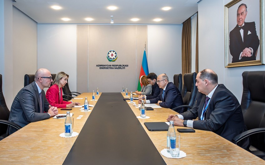 ЕИБ заинтересован в партнерстве с Азербайджаном по “зеленой" энергии - министр энергетики
