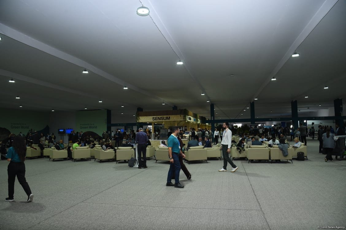 Фотосессия с COP29 в Баку