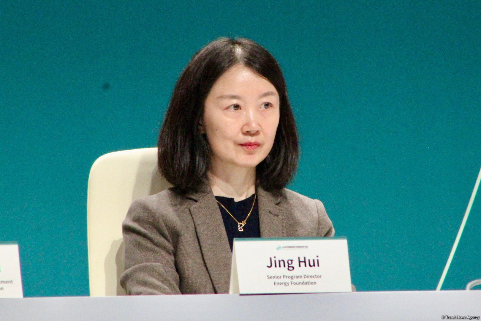 В рамках COP29 состоялась панельная дискуссия на тему субнациональной деятельности по изменению климата (ФОТО)