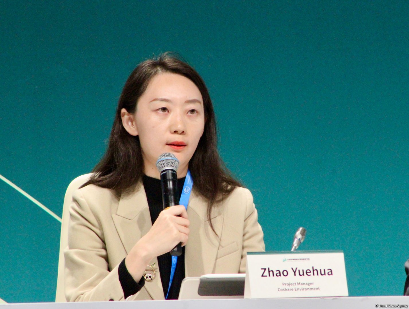 В рамках COP29 состоялась панельная дискуссия на тему субнациональной деятельности по изменению климата (ФОТО)