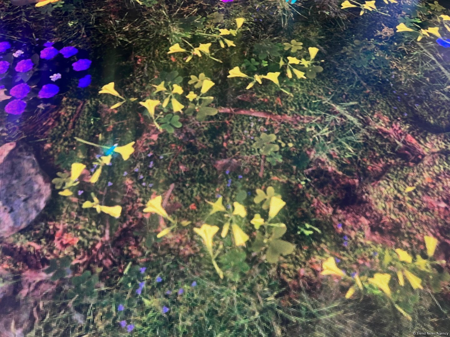 На COP29 состоялась церемония открытия павильона Турции (ФОТО)