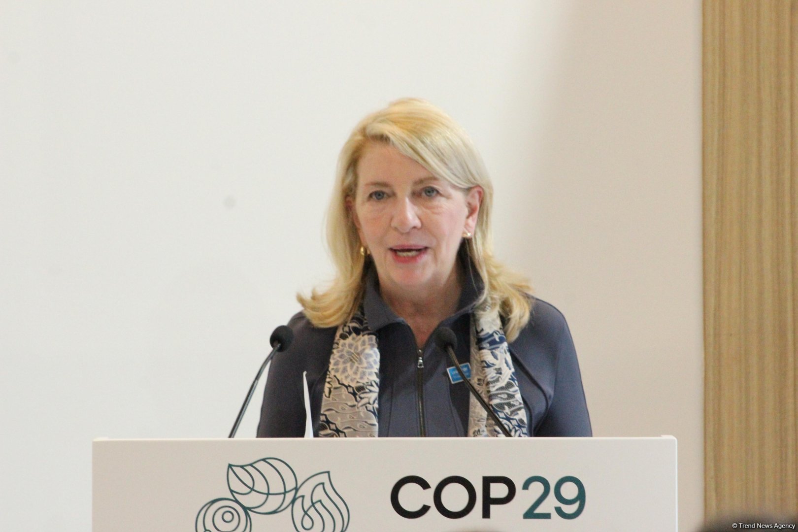 Азербайджан подписал Декларацию о детях, молодежи и климатической деятельности (ФОТО)