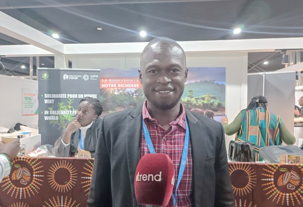 Люди всего мира объединились в Баку во имя спасения земли – представитель Буркина-Фасо на COP29