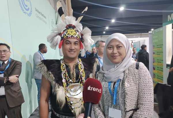 Происходящие события на COP29  дают большую надежду на решение климатических вопросов – представитель Малайзии