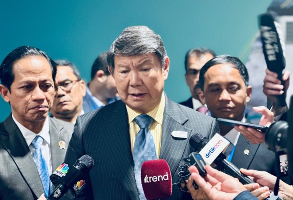 COP for Hope: Правительства Азербайджана и Индонезии полны решимости смягчить последствия изменения климата - индонезийский политик