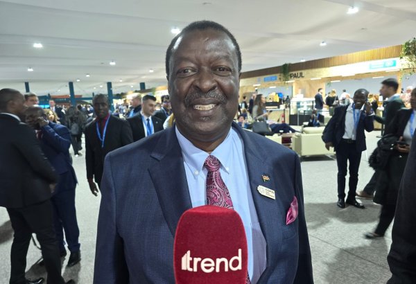 COP for Hope: Кения может работать вместе с Азербайджаном над системами ветровой и солнечной энергии - премьер-министр