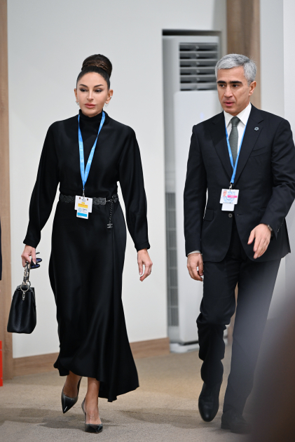 В Баку состоялась церемония открытия Саммита лидеров COP29, Президент Ильхам Алиев выступил на мероприятии (ВИДЕО/ФОТО)