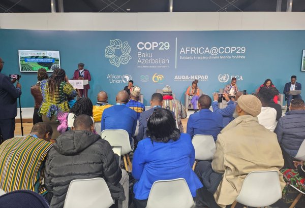 Основное ожидание африканских стран - определение измеримой финансовой цели - Альянс