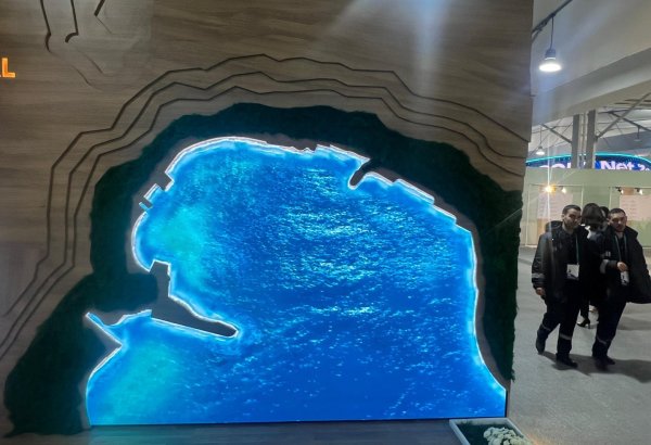 Приморский национальный парк представил свой павильон на COP29 (ФОТО)