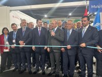 В рамках COP29 в Баку состоялось официальное открытие павильона Многоуровневой деятельности и градостроительства (ФОТО)