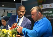 Фоторепортаж с третьего дня COP29