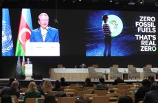 В рамках COP29 обсуждены бизнес-стратегии для борьбы с изменением климата (ФОТО)