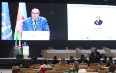 В рамках COP29 обсуждены бизнес-стратегии для борьбы с изменением климата (ФОТО)