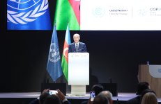 В рамках COP29 обсуждены бизнес-стратегии для борьбы с изменением климата (ФОТО)