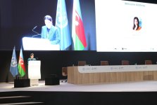 В рамках COP29 обсуждены бизнес-стратегии для борьбы с изменением климата (ФОТО)