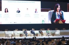 В рамках COP29 обсуждены бизнес-стратегии для борьбы с изменением климата (ФОТО)