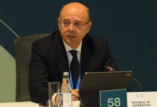 Реализуемые проекты также имеют очень важный экологический аспект — Парвиз Шахбазов