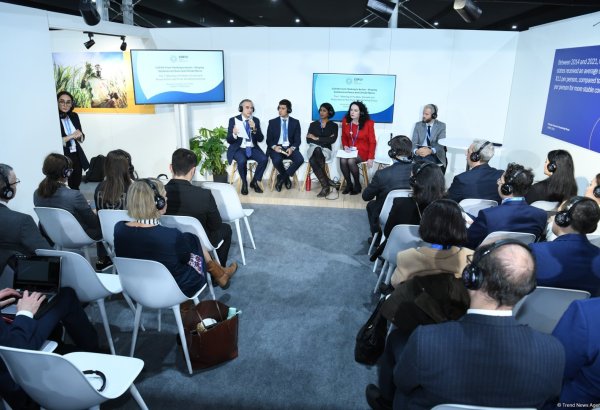 В рамках COP29  создана рабочая группа мозговых центров